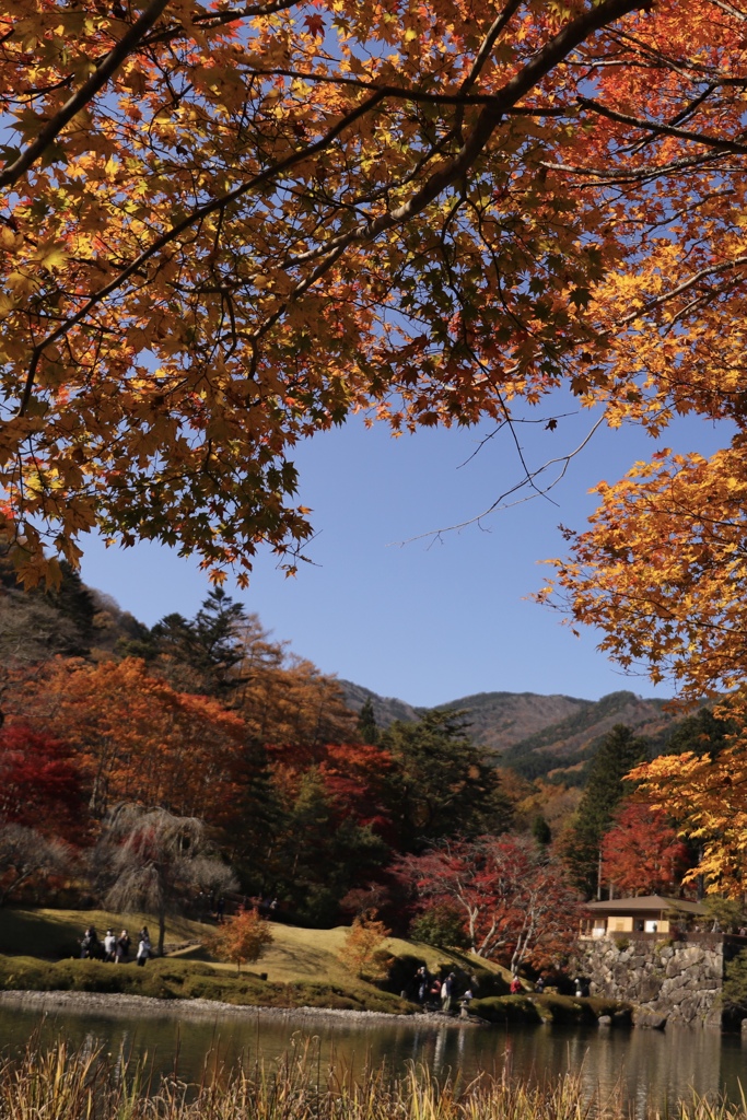 少し遅かった紅葉