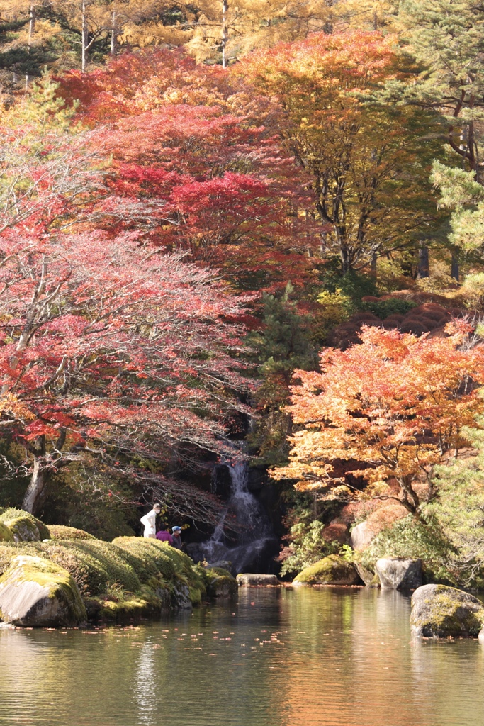 少し遅かった紅葉