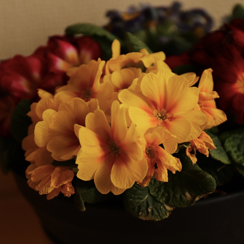 超、久々の撮影