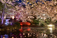 打吹公園　羽衣池ライトアップ