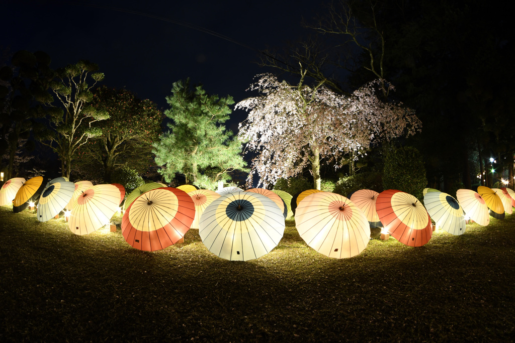 打吹公園　飛龍閣ライトアップ