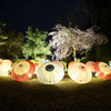 打吹公園　飛龍閣ライトアップ