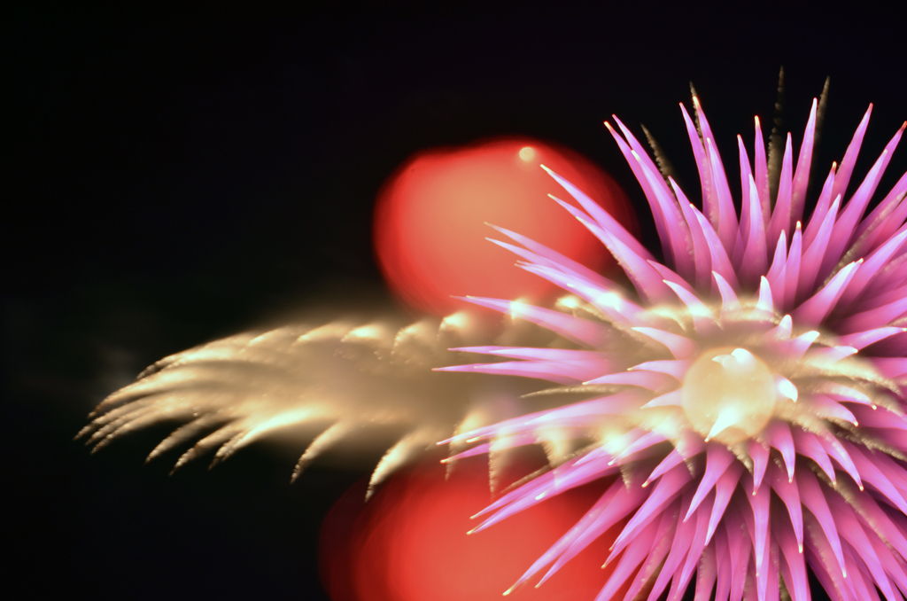 アートな花火　（とまり夏まつり
