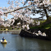 2024.4.7  鹿野城址公園