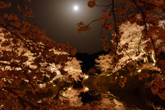 鹿野城跡の桜　②