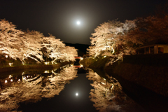 鹿野城跡の桜　①