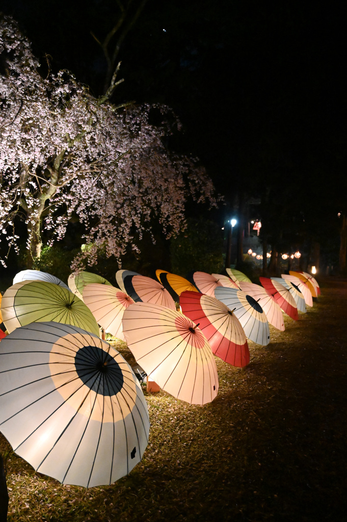 打吹公園　飛龍閣ライトアップ
