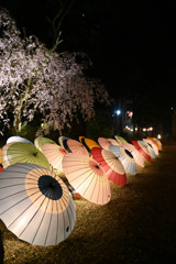 打吹公園　飛龍閣ライトアップ