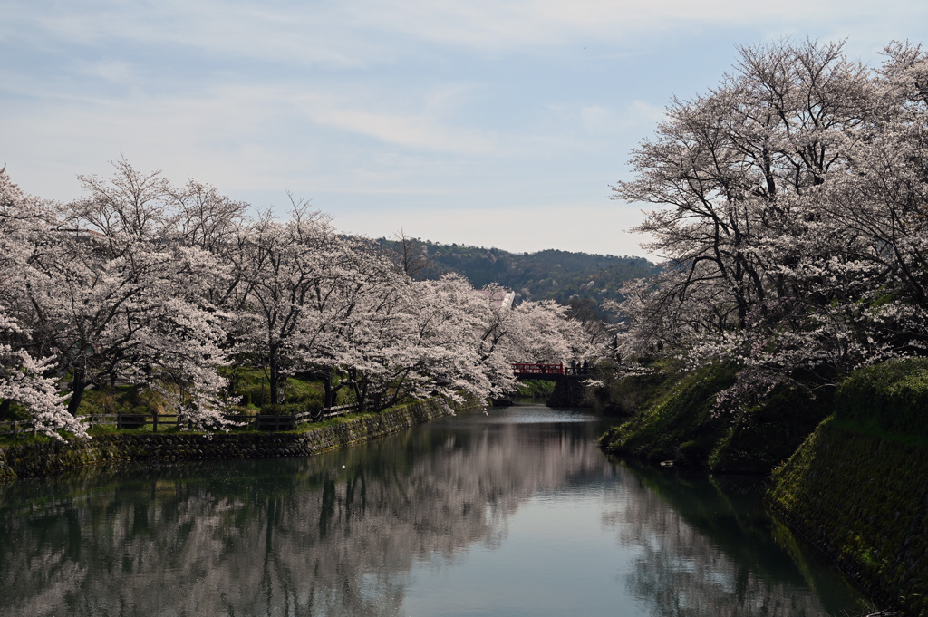 2024.4.7  鹿野城址公園