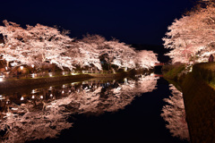 2019.04.06  鹿野城址公園