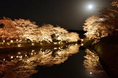 鹿野城跡の桜　④