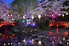 打吹公園　羽衣池ライトアップ