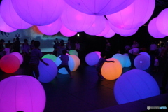 Light Ball Orchestra