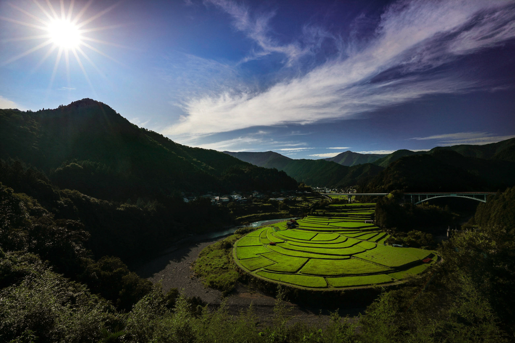 あらぎ島*和歌山