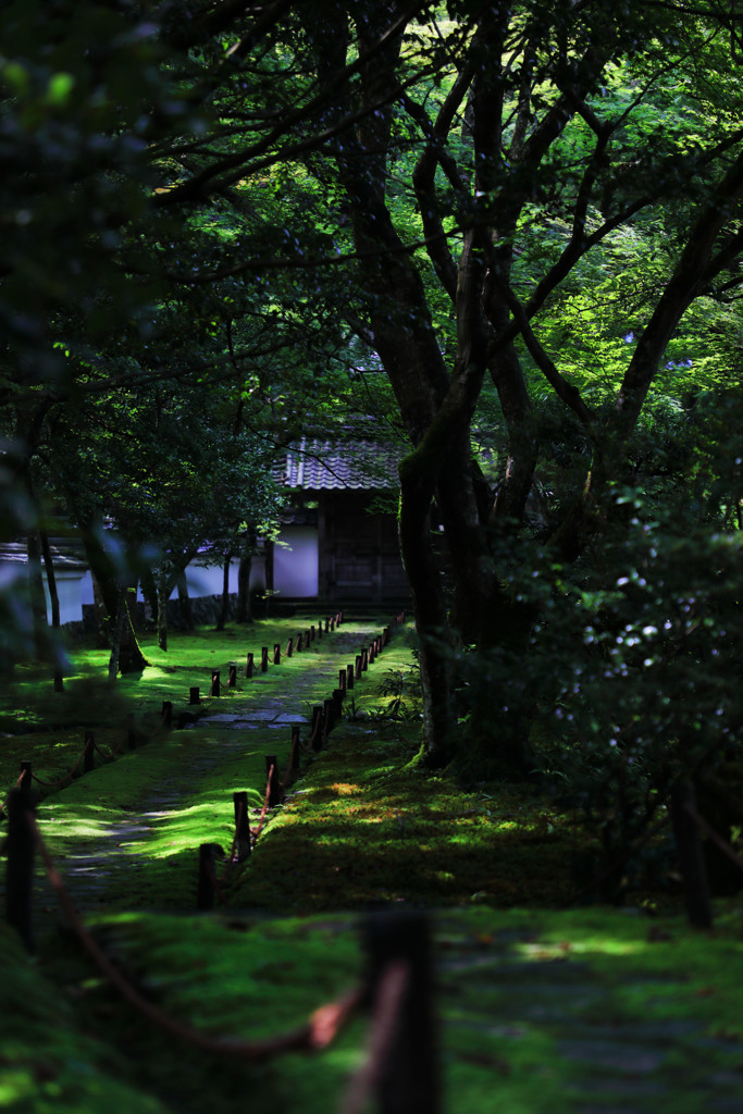 西芳寺＊京都