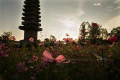 般若寺＊奈良