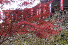 島根清水寺2