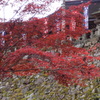 島根清水寺2