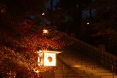 静寂の空間