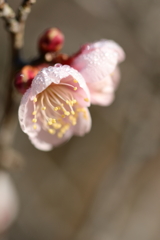 IMG_3258