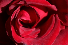 迫る紅