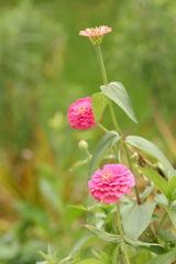 存在感
