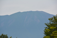 小岩井牧場