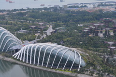 シンガポール