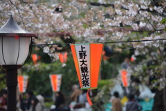 2014年花見