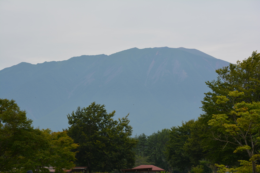 小岩井牧場