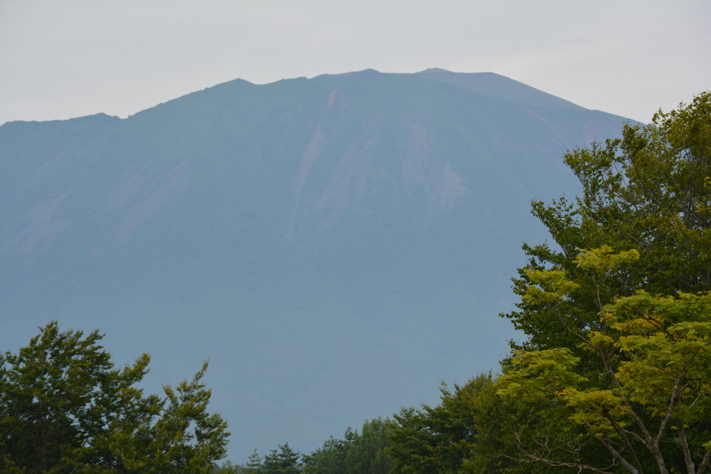 小岩井牧場