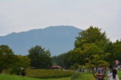 小岩井牧場