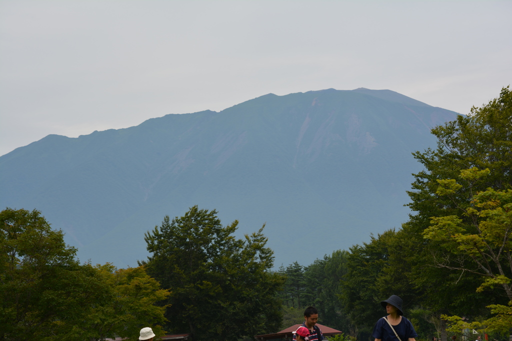 小岩井牧場