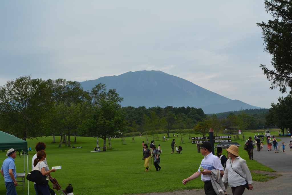 小岩井牧場