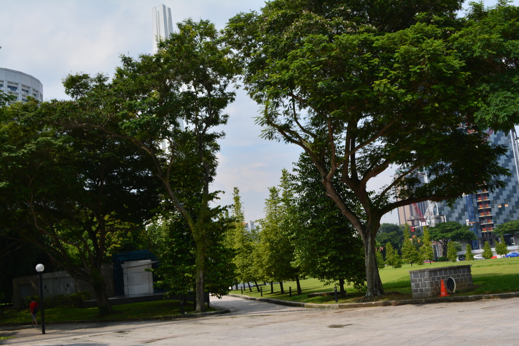 シンガポール