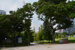 シンガポール