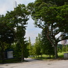 シンガポール