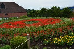 小岩井牧場