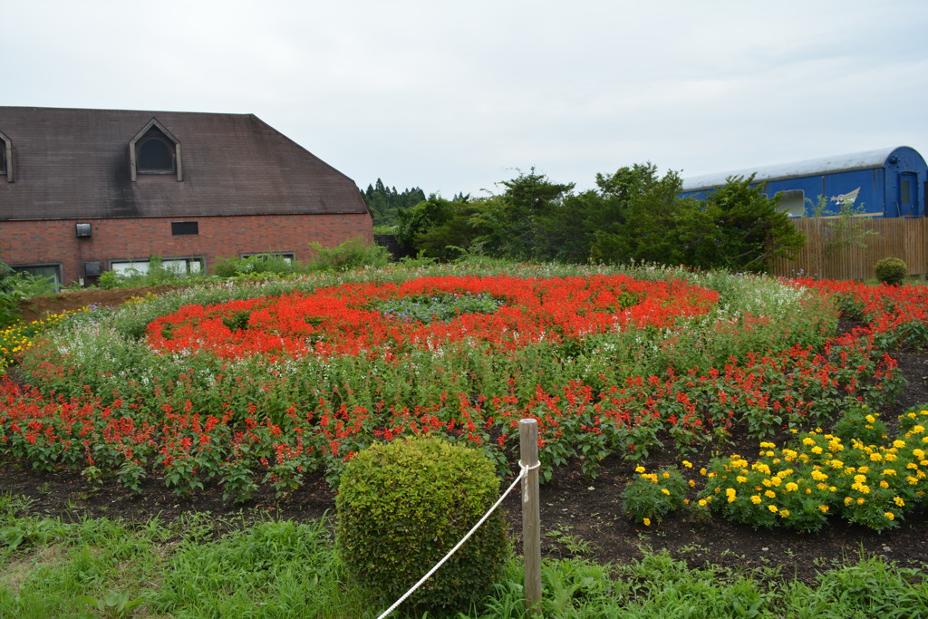 小岩井牧場