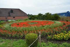 小岩井牧場