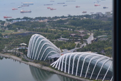 シンガポール