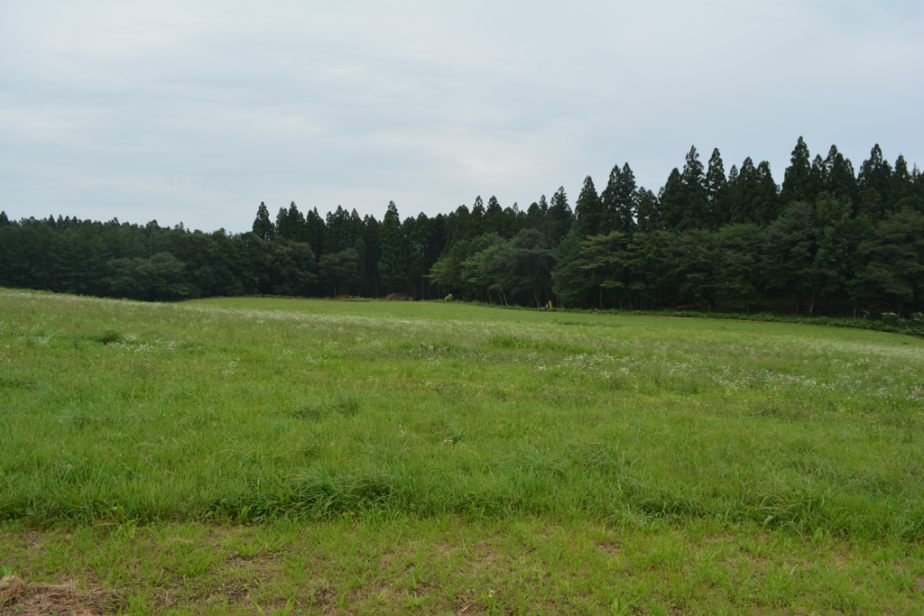 小岩井牧場