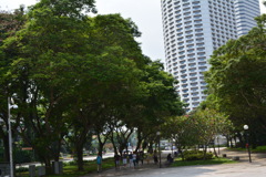 シンガポール