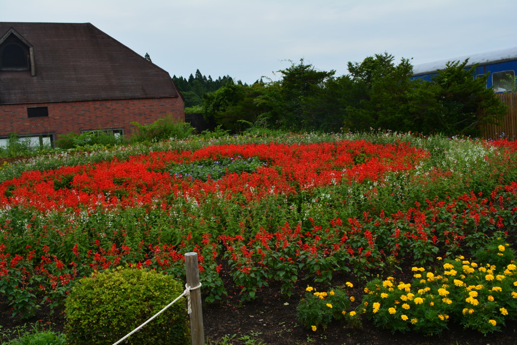 小岩井牧場