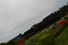 小岩井牧場