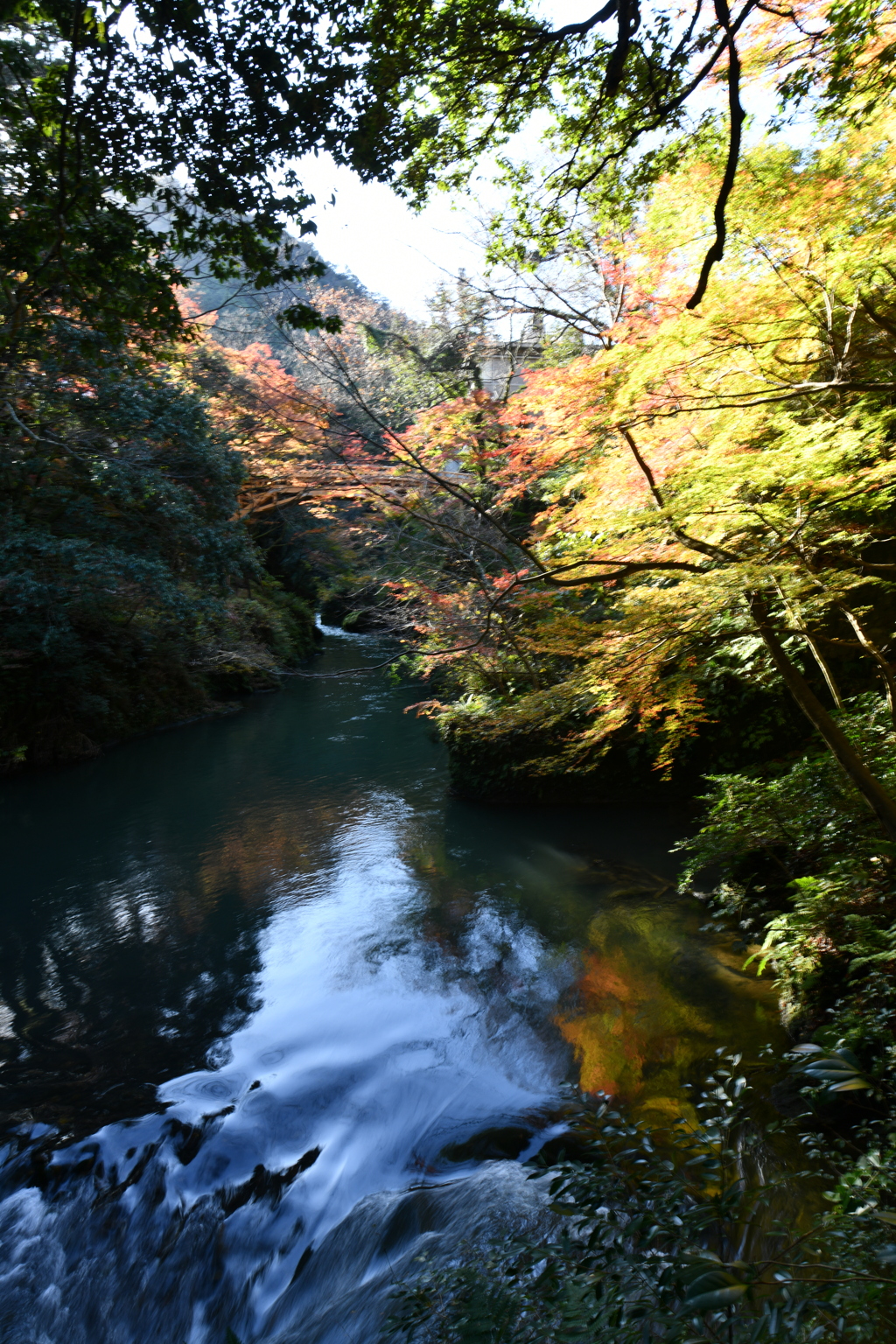 秋の蟋蟀橋