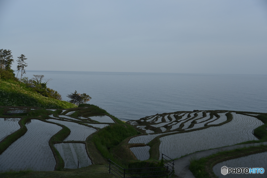 海に浮かぶ田園