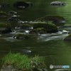 夏色
