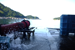 DSCF0547