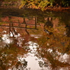 水面の紅葉